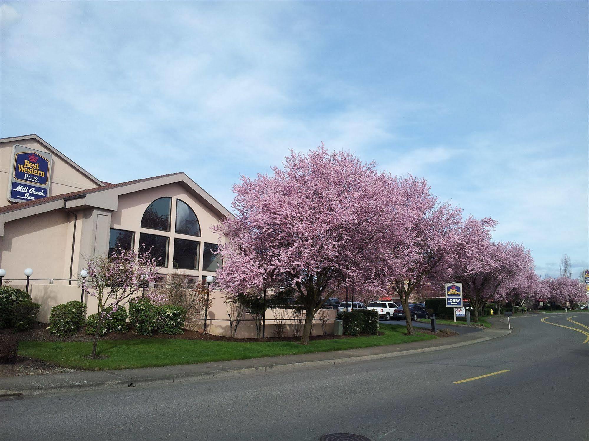 Best Western Plus Mill Creek Inn Salem Esterno foto